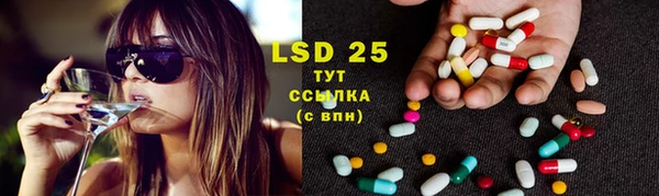 прущие грибы Елабуга