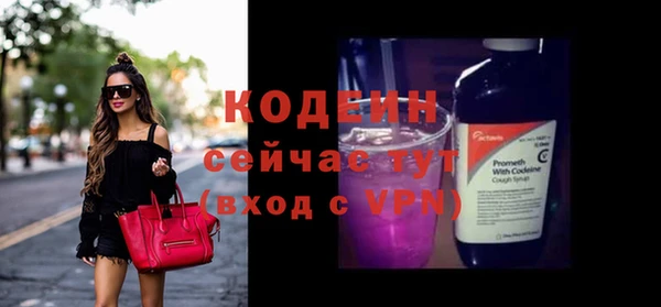 прущие грибы Елабуга