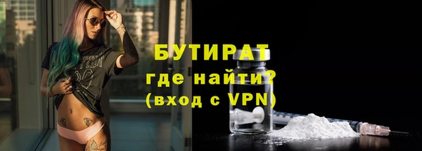 прущие грибы Елабуга