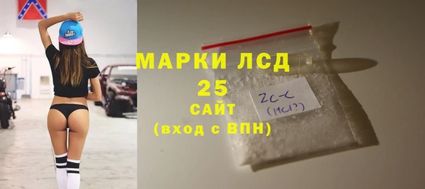 ALPHA PVP Ельня