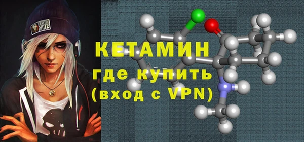 прущие грибы Елабуга
