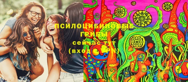 гашик Дмитровск