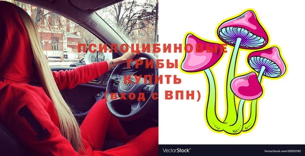 прущие грибы Елабуга