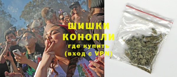 прущие грибы Елабуга