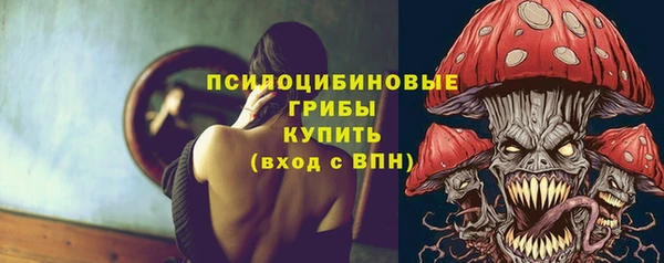 гашик Дмитровск