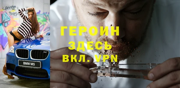 прущие грибы Елабуга